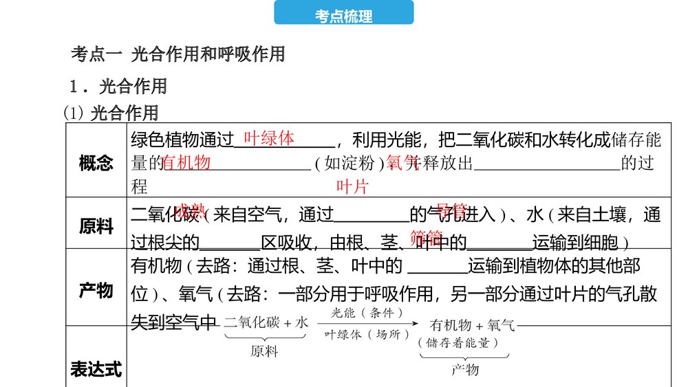 2023年中考生物复习第三单元 第四、五、六章 植物的光合作用、呼吸作用及对生物圈的作用PPT课件3