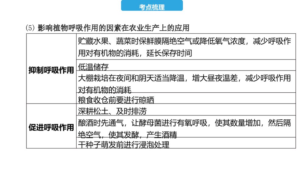 2023年中考生物复习第三单元 第四、五、六章 植物的光合作用、呼吸作用及对生物圈的作用PPT课件6