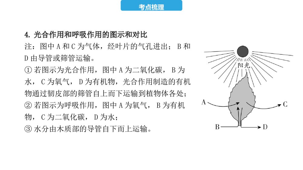 2023年中考生物复习第三单元 第四、五、六章 植物的光合作用、呼吸作用及对生物圈的作用PPT课件8