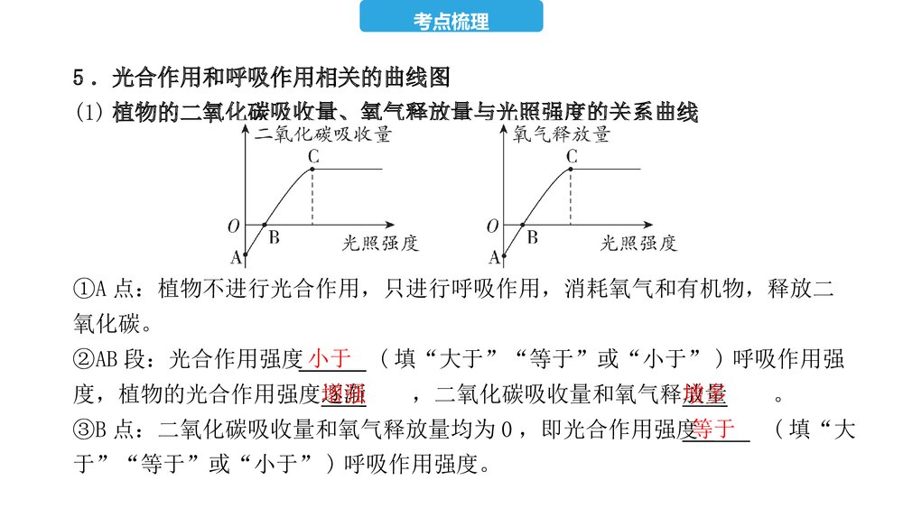 2023年中考生物复习第三单元 第四、五、六章 植物的光合作用、呼吸作用及对生物圈的作用PPT课件9
