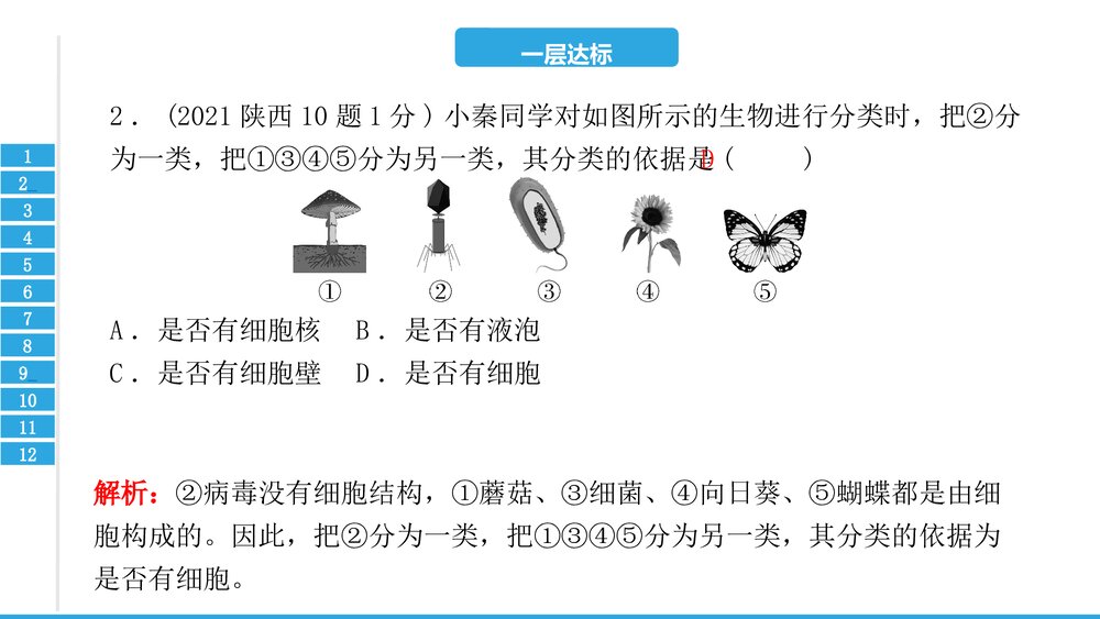中考复习PPT课件:第六单元 生物的多样性及其保护(共17张)3