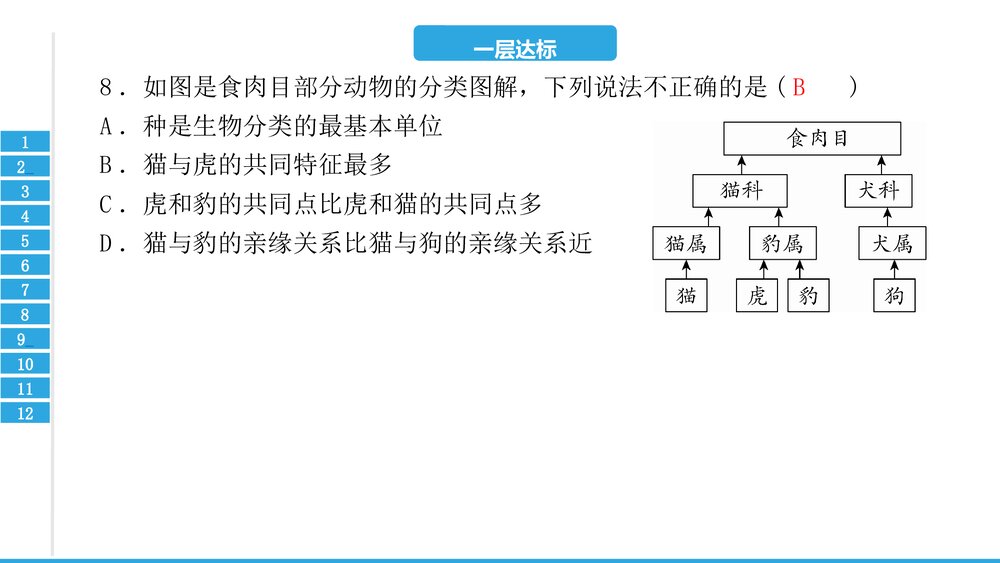 中考复习PPT课件:第六单元 生物的多样性及其保护(共17张)9
