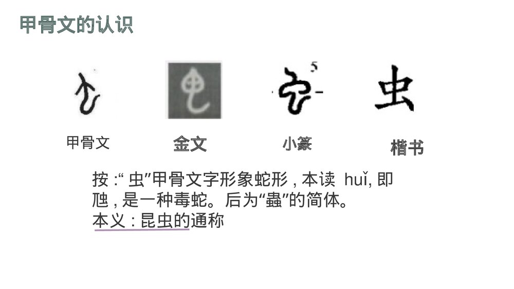 部编版一年级语文上册 识字“虫字旁”PPT课件5