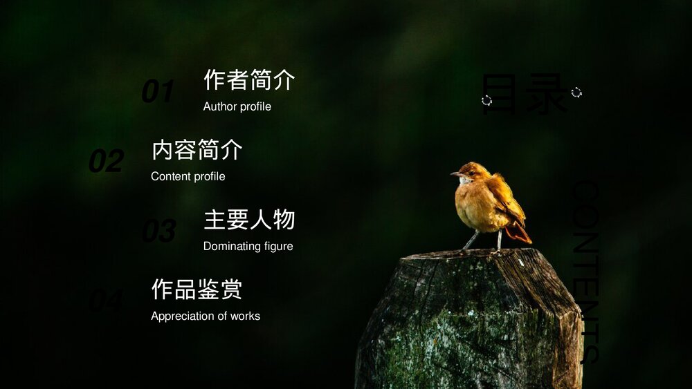 《杀死一只知更鸟》名著导读好书推荐分享PPT课件下载2