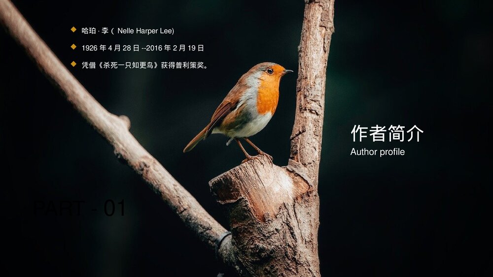 《杀死一只知更鸟》名著导读好书推荐分享PPT课件下载3