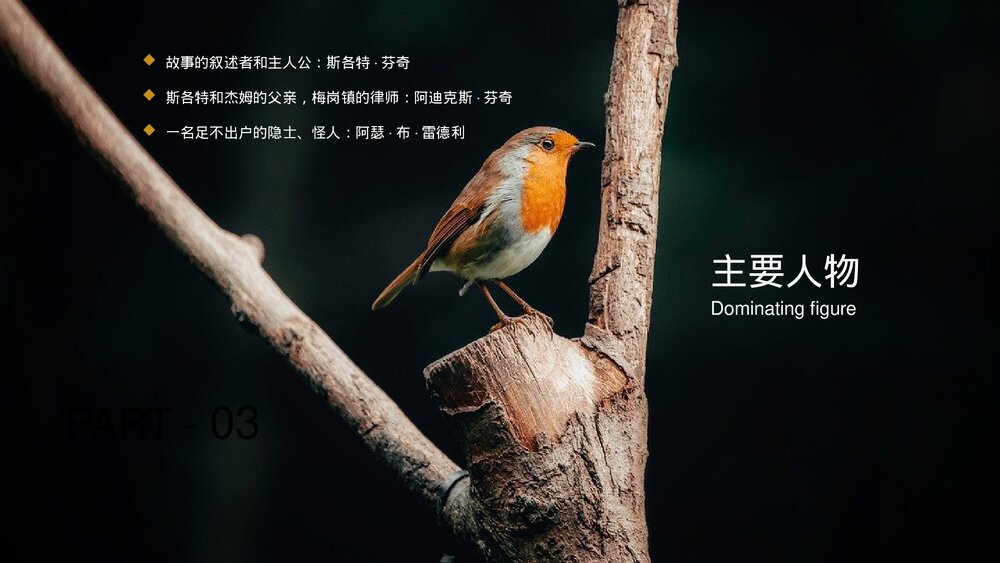 《杀死一只知更鸟》名著导读好书推荐分享PPT课件下载10