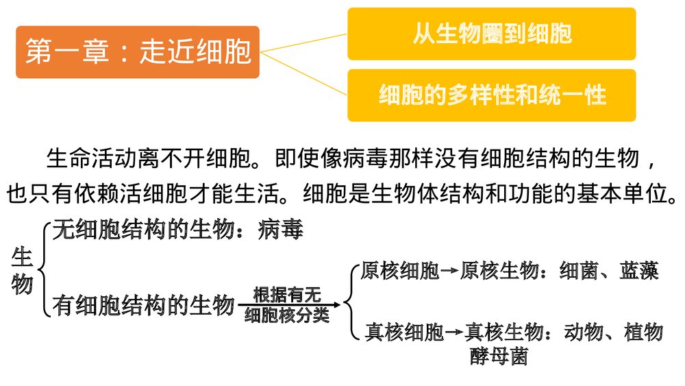 高一上学期生物必修1《分子与细胞》人教版总复习PT课件2