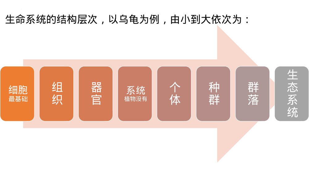 高一上学期生物必修1《分子与细胞》人教版总复习PT课件3