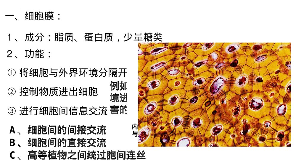 高一上学期生物必修1《分子与细胞》人教版总复习PT课件5