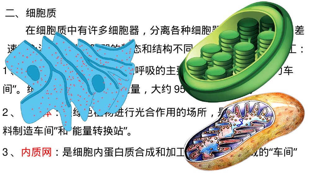 高一上学期生物必修1《分子与细胞》人教版总复习PT课件6