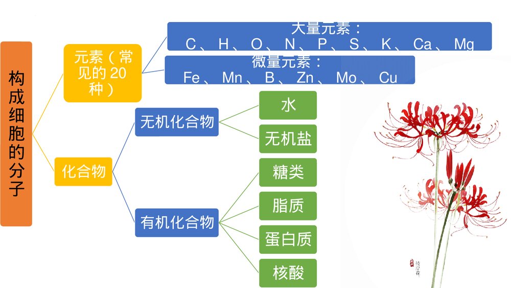 高一上学期生物必修1《分子与细胞》人教版总复习PT课件10