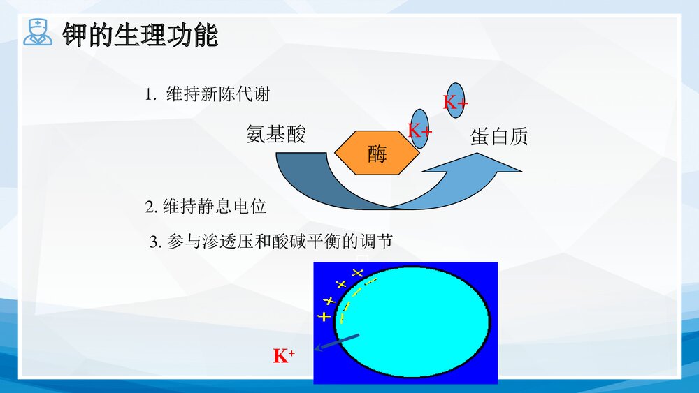 1例高钾血症突发心跳呼吸骤停患者的护理查房PPT课件下载(共51页·可编辑修改)4