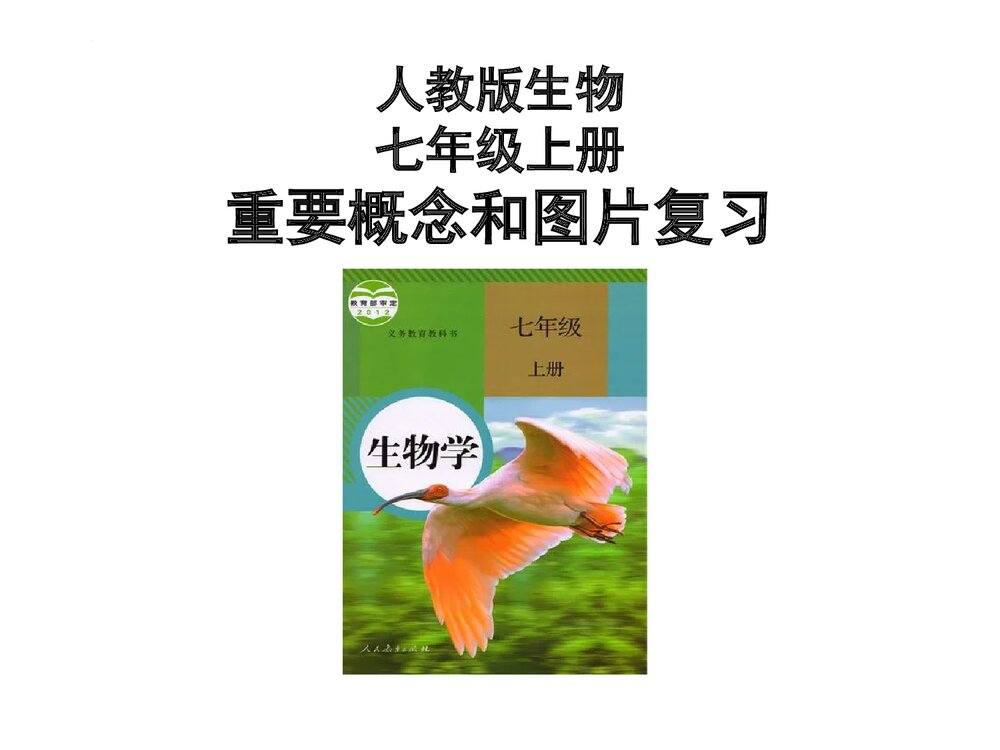 人教版生物七年级上册《重要概念和图片复习》PPT课件下载1