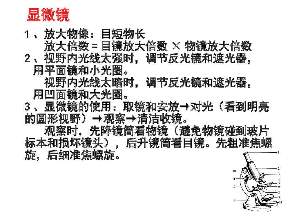 人教版生物七年级上册《重要概念和图片复习》PPT课件下载9