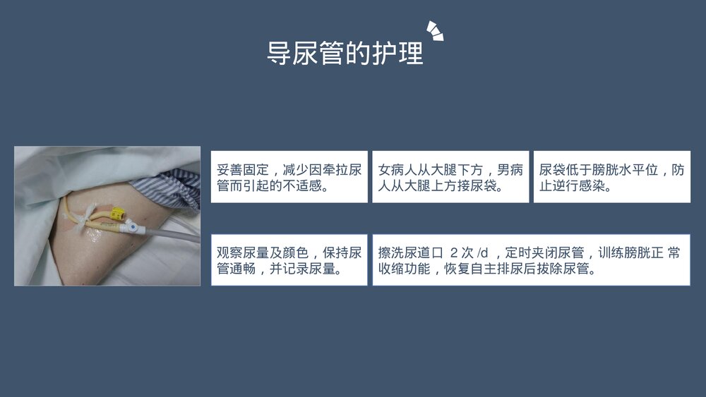 髋关节置换术后护理医学类PPT课件下载(共20页·内容可编辑修改)8