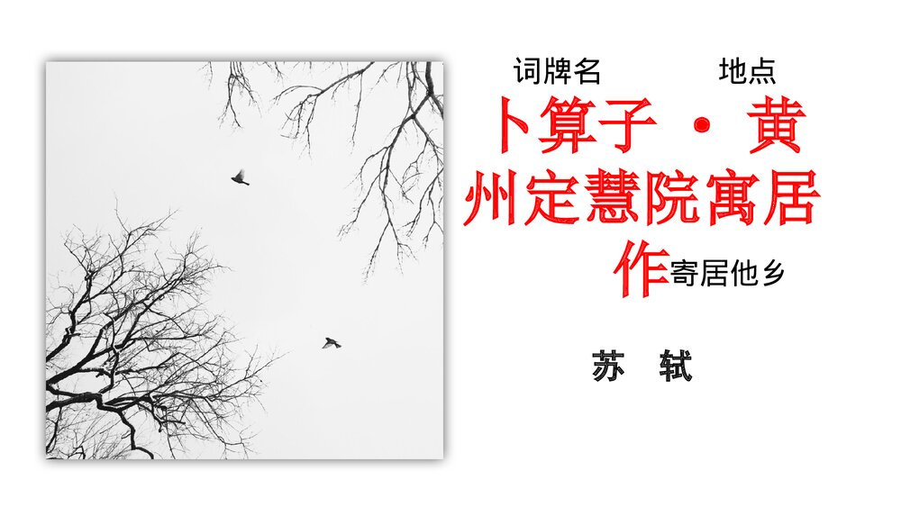 部编版八年级语文下册第六单元课外古诗词诵读《卜算子·黄州定慧院寓居作》《卜算子·咏梅》2