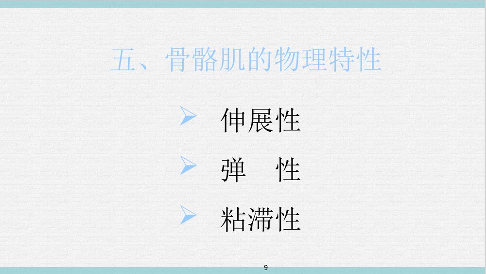 运动解剖学PPT课件下载(共65页·可编辑修改)9