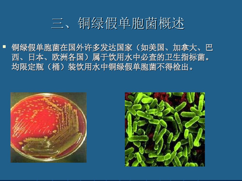 包装饮用水中铜绿假单胞菌污染和控制PPT课件下载5