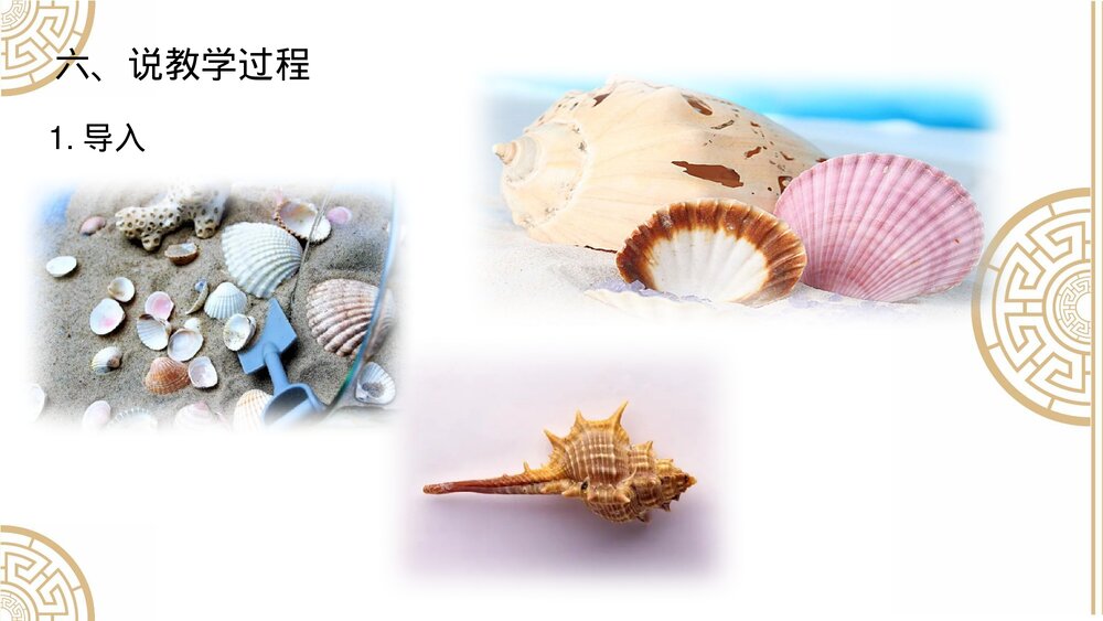 部编版小学语文二年级下册·识字3 贝的故事PPT课件下载8