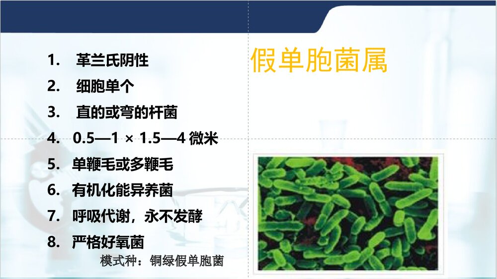铜绿假单胞菌PPT课件下载2
