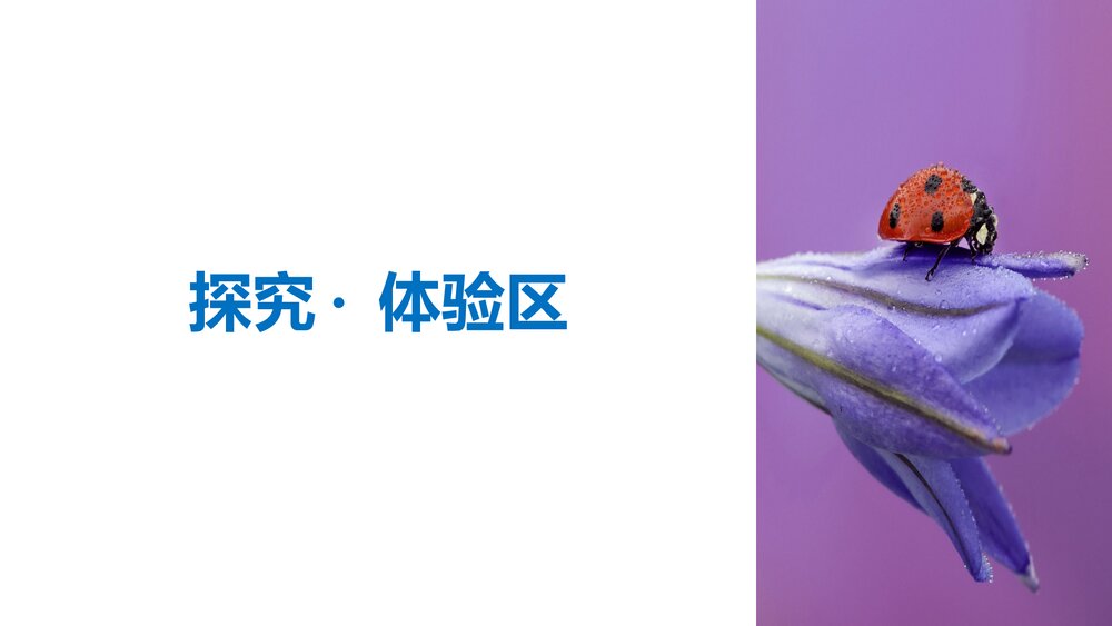 人教版·高三语文·语言文字应用-21-22版:第三课 神奇的汉字《第一节 字之初,本为画——4