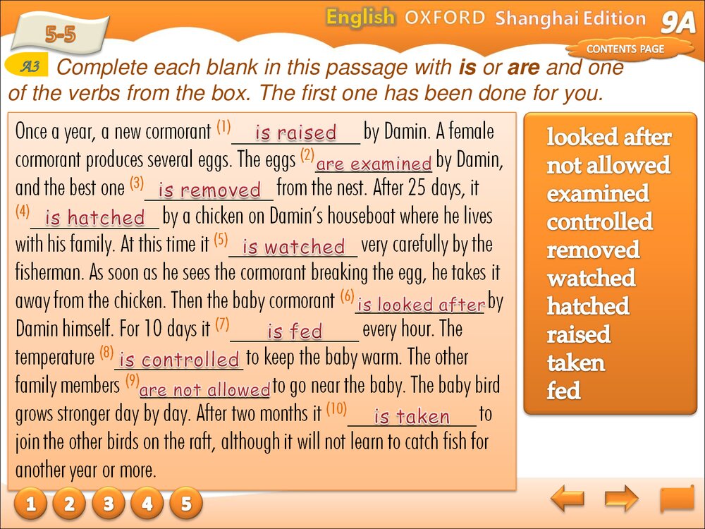 牛津上海版英语九年级上册PPT课件:Unit 2 Trditional skills Grammar8