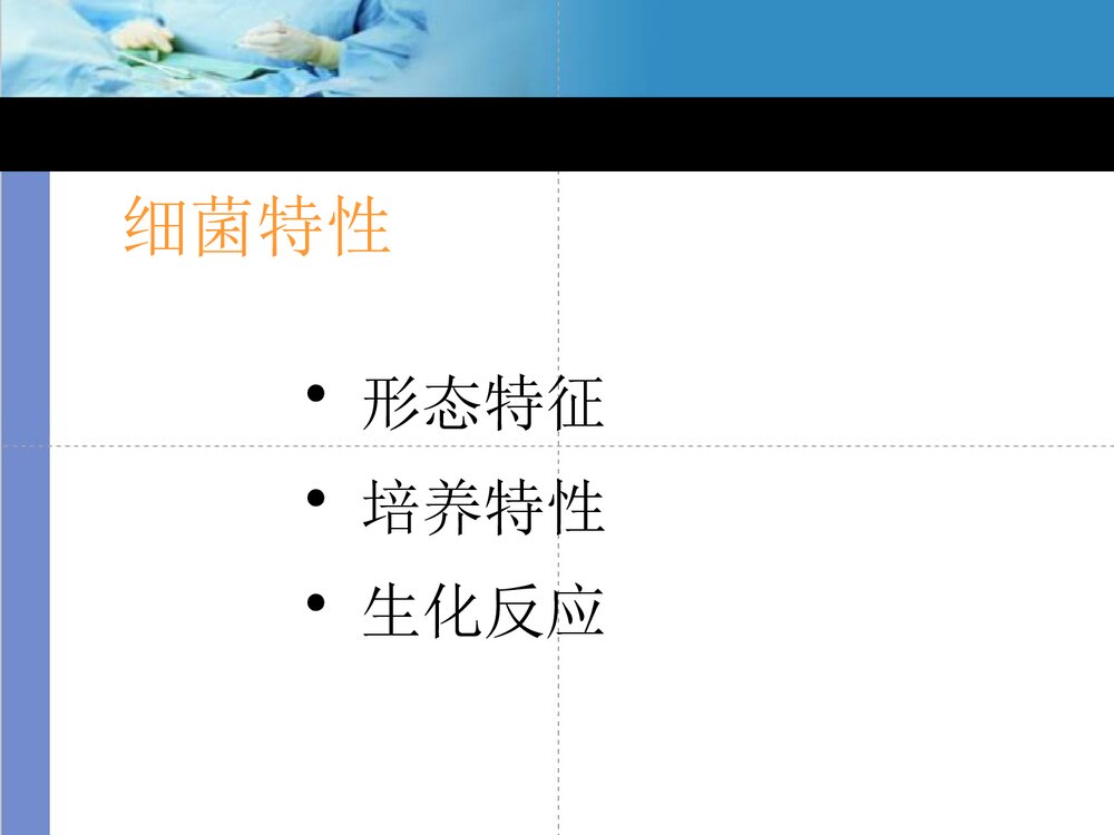 克雷伯菌属PPT课件下载4