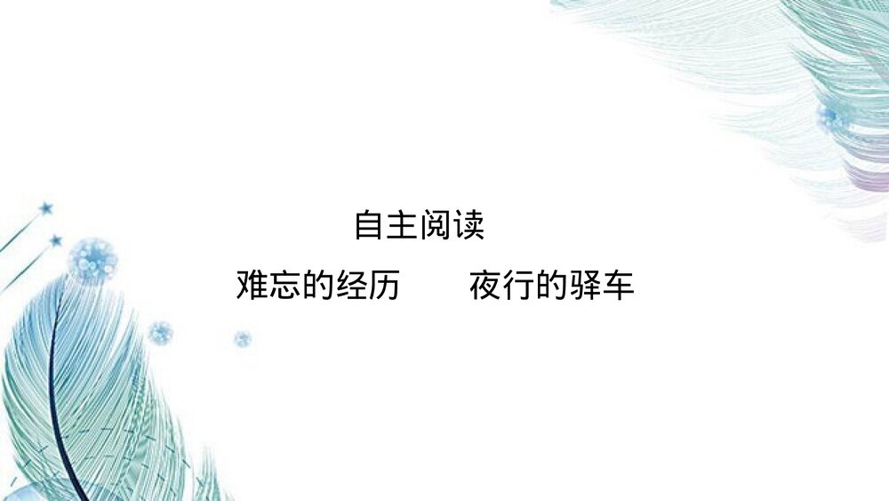人教版高中语文-外国诗歌散文欣赏-课件1:自主阅读 难忘的经历 夜行的驿车PPT课件-同课异1