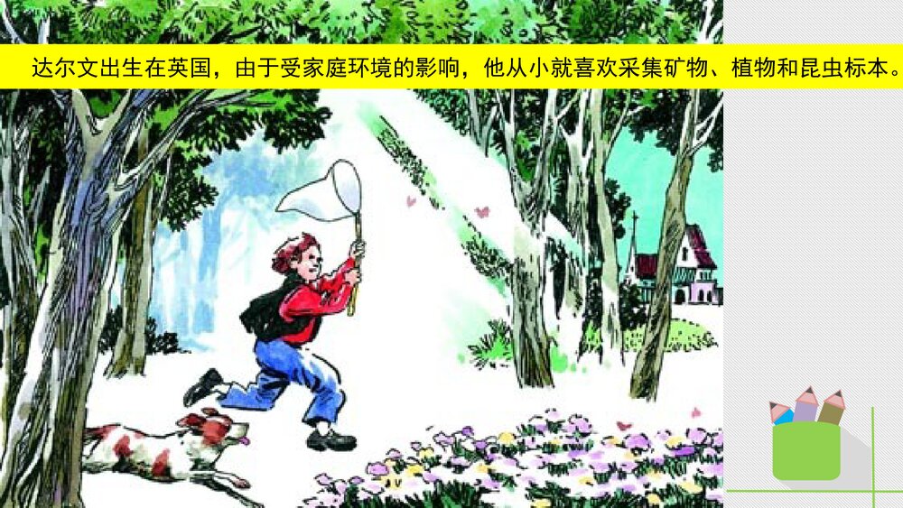 人教版八年级生物下册 画故事:达尔文和他的进化思想 教学课件PPT下载2