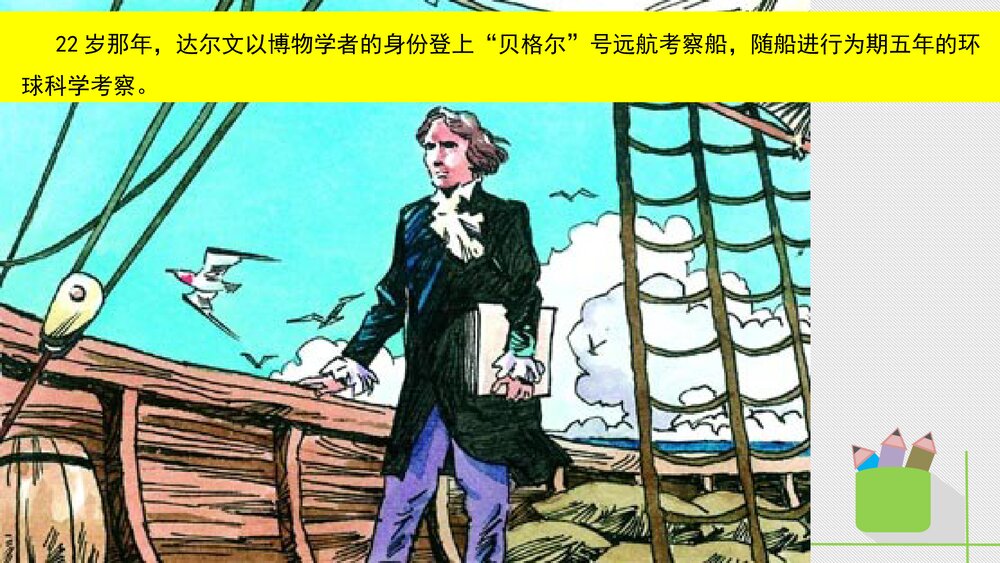 人教版八年级生物下册 画故事:达尔文和他的进化思想 教学课件PPT下载5