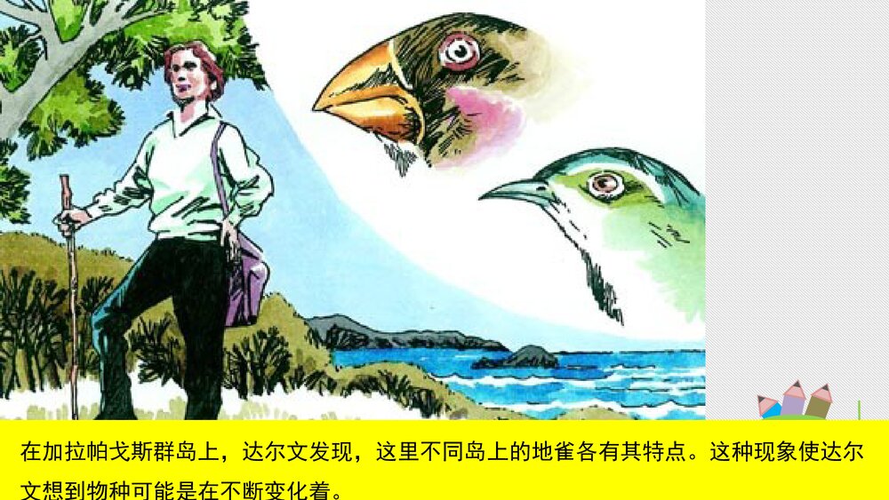 人教版八年级生物下册 画故事:达尔文和他的进化思想 教学课件PPT下载7