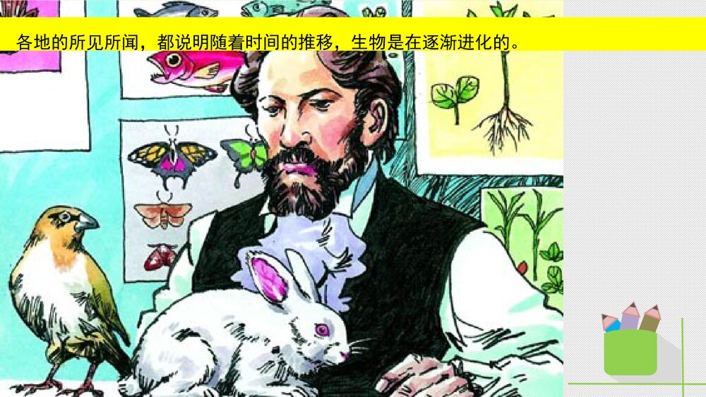 人教版八年级生物下册 画故事:达尔文和他的进化思想 教学课件PPT下载8