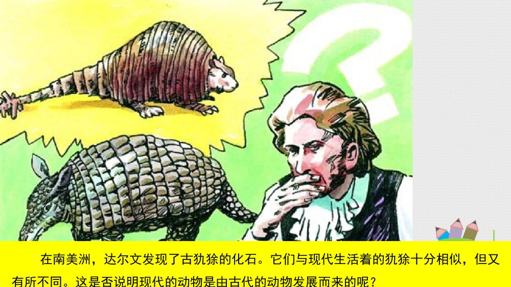 人教版八年级生物下册 画故事:达尔文和他的进化思想 教学课件PPT下载9