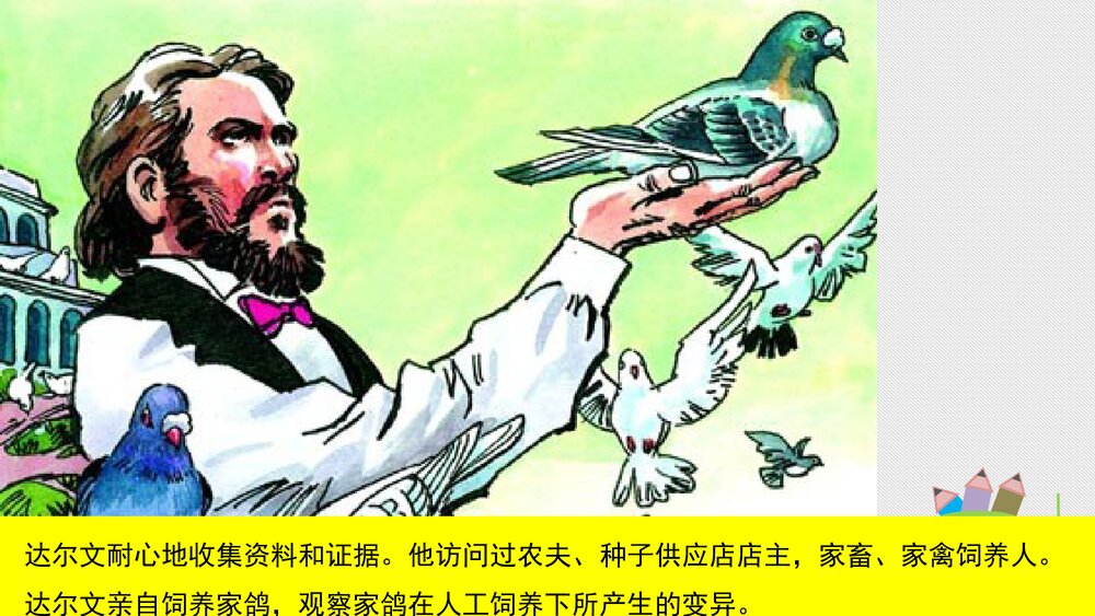 人教版八年级生物下册 画故事:达尔文和他的进化思想 教学课件PPT下载10