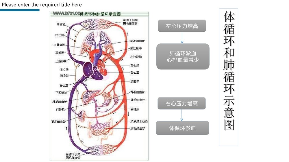心力衰竭护理查房PPT课件下载10