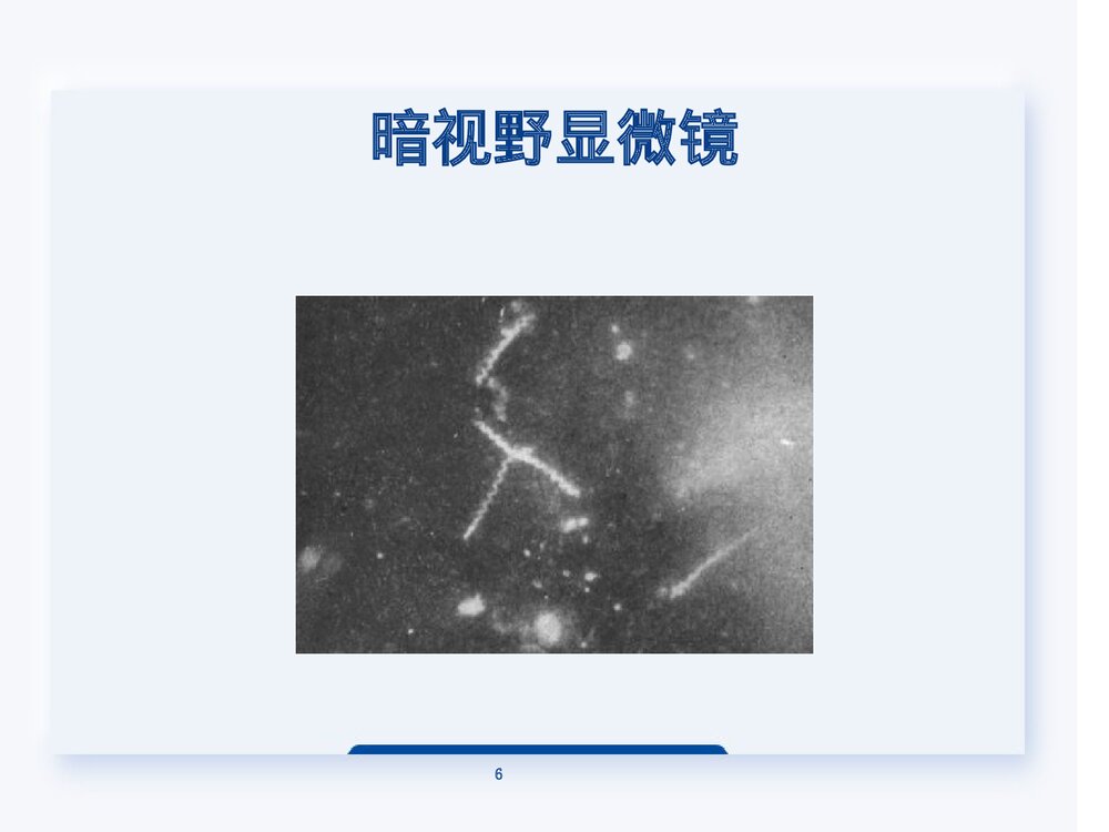 梅毒的鉴别诊断PPT课件下载(共56页·可编辑修改)6