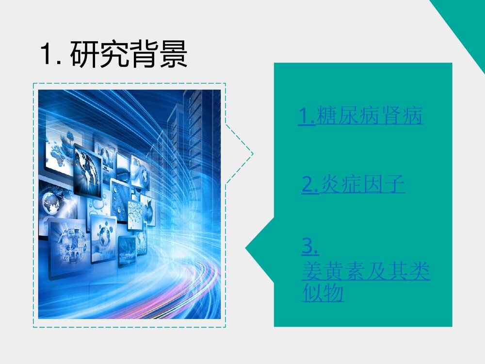 《姜黄素类似物H8对糖尿病肾病小鼠的治疗作用》药物化学本科答辩PPT课件3