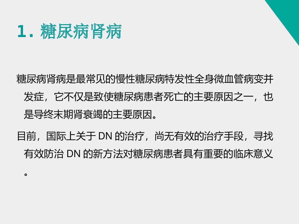 《姜黄素类似物H8对糖尿病肾病小鼠的治疗作用》药物化学本科答辩PPT课件4