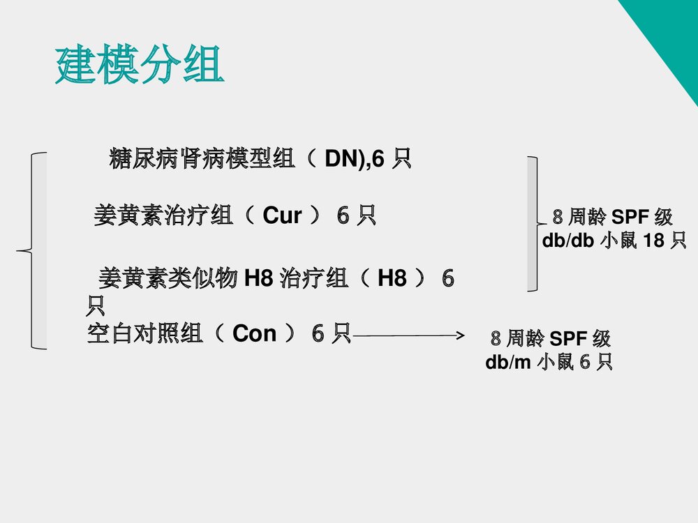 《姜黄素类似物H8对糖尿病肾病小鼠的治疗作用》药物化学本科答辩PPT课件8