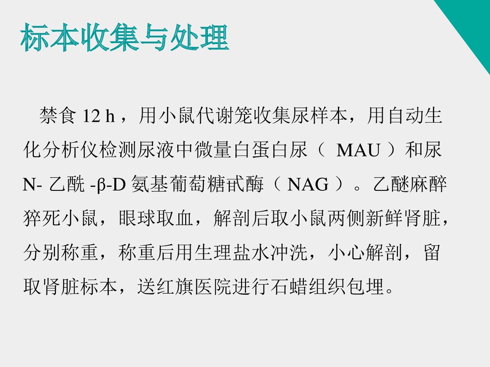 《姜黄素类似物H8对糖尿病肾病小鼠的治疗作用》药物化学本科答辩PPT课件9