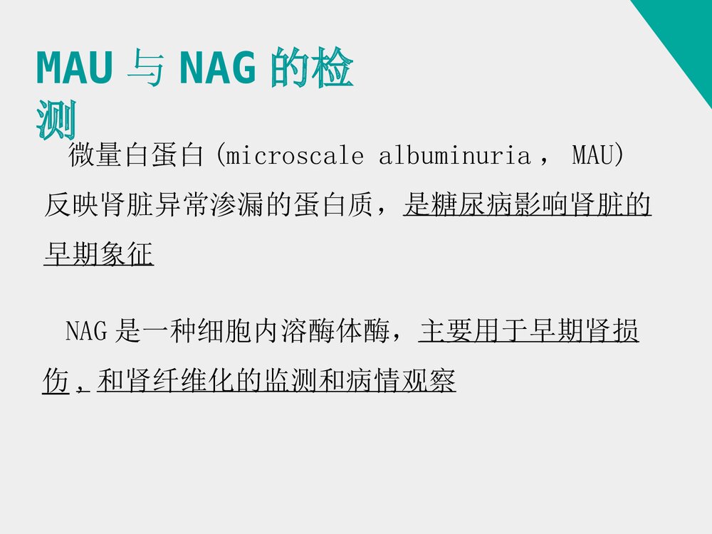 《姜黄素类似物H8对糖尿病肾病小鼠的治疗作用》药物化学本科答辩PPT课件10