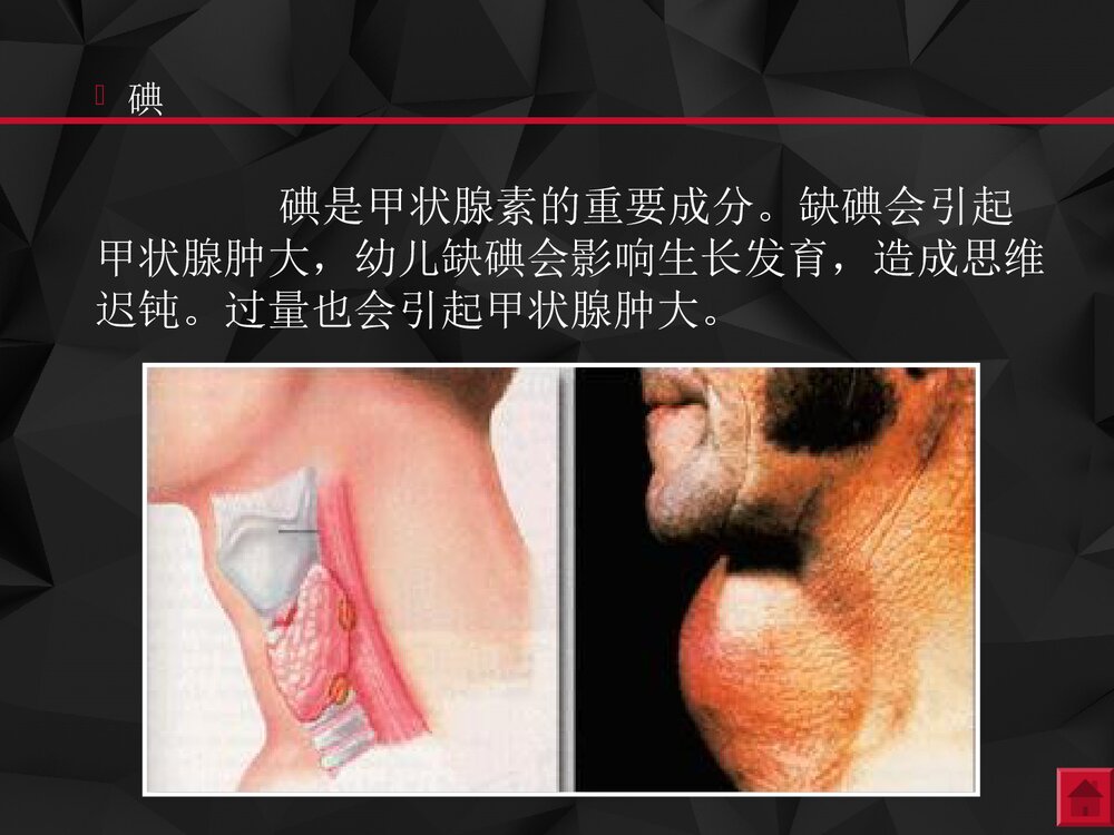 《化学元素与人体健康》生活中的化学课件PPT下载9
