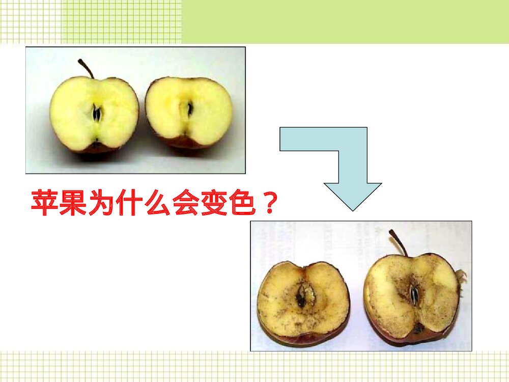 高一化学必修一绪论《神奇的化学》教学PPT课件9