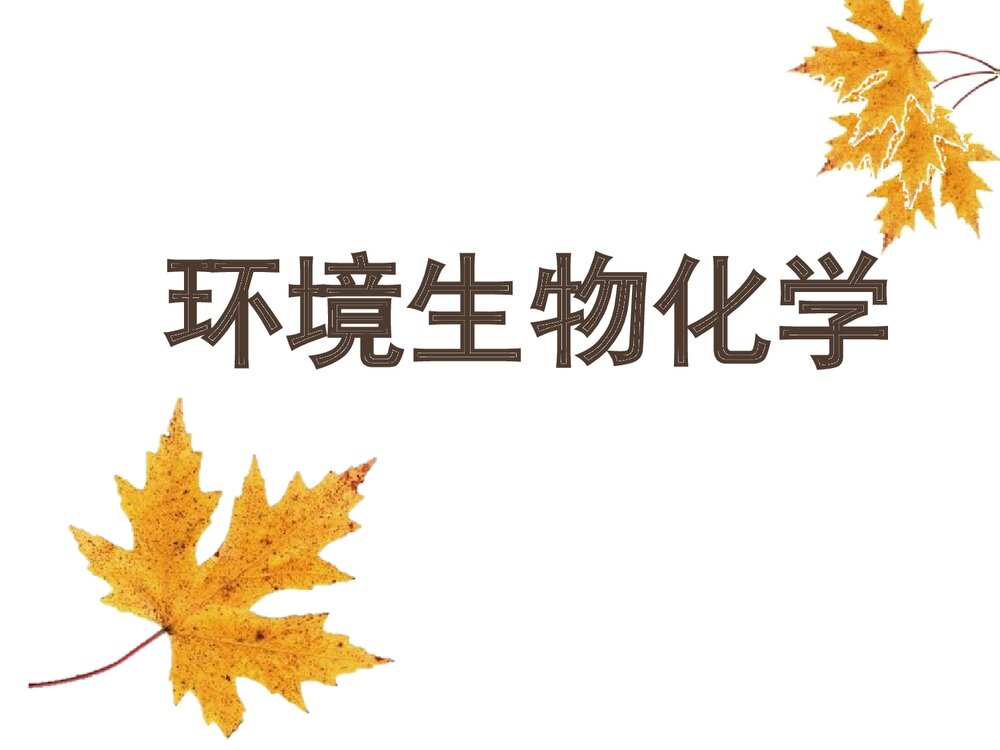 环境生物化学课件PPT下载(共22页)1