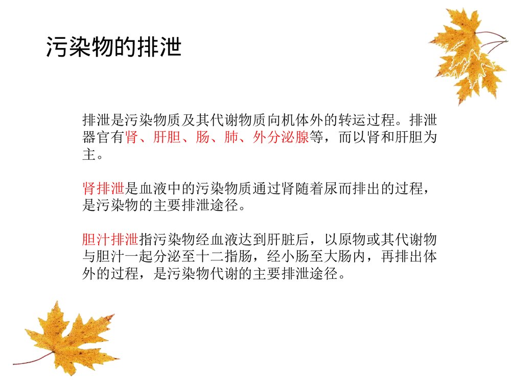 环境生物化学课件PPT下载(共22页)9