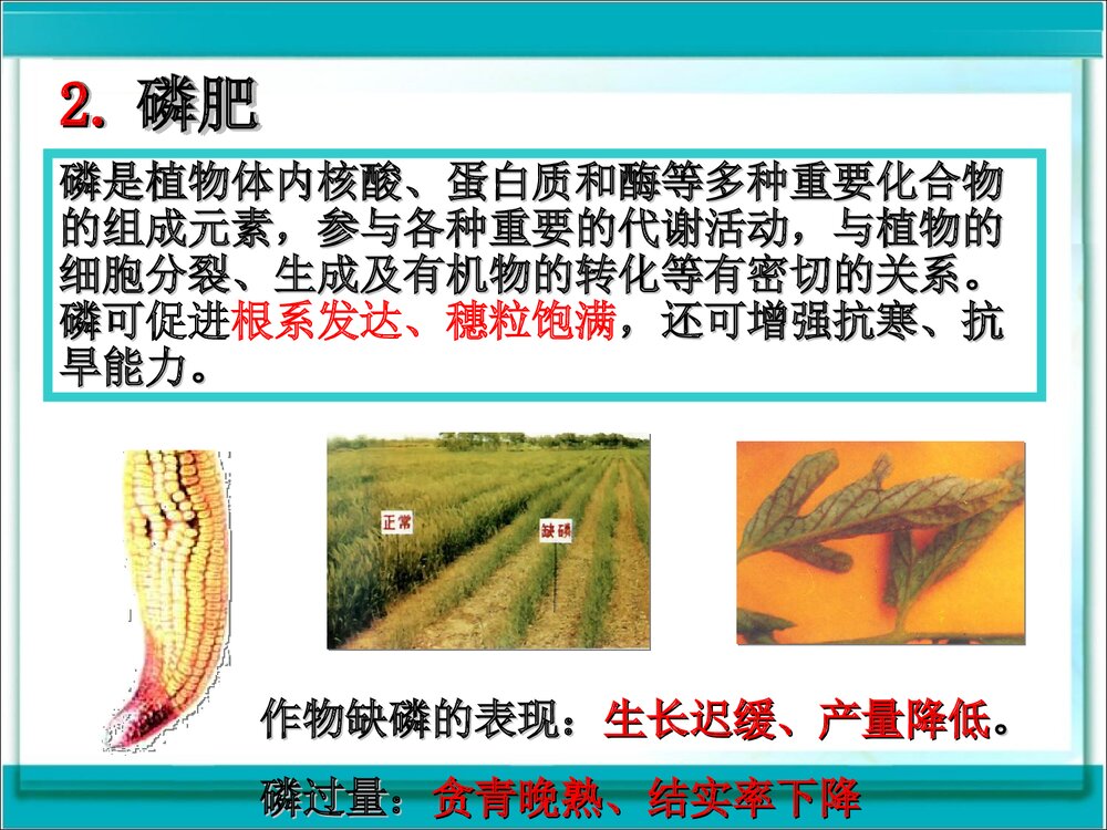 《第十一单元 盐 化肥课题2 化学肥料》初中化学九年级下册课件PPT下载7