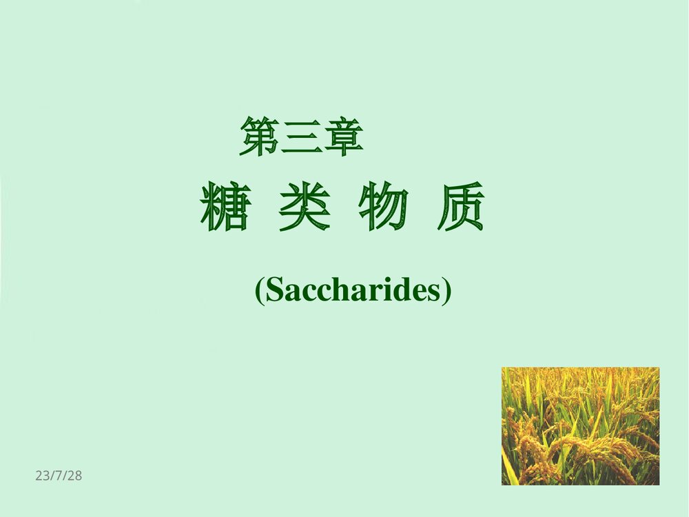 食品化学第2章糖类PPT课件下载(共126页)3