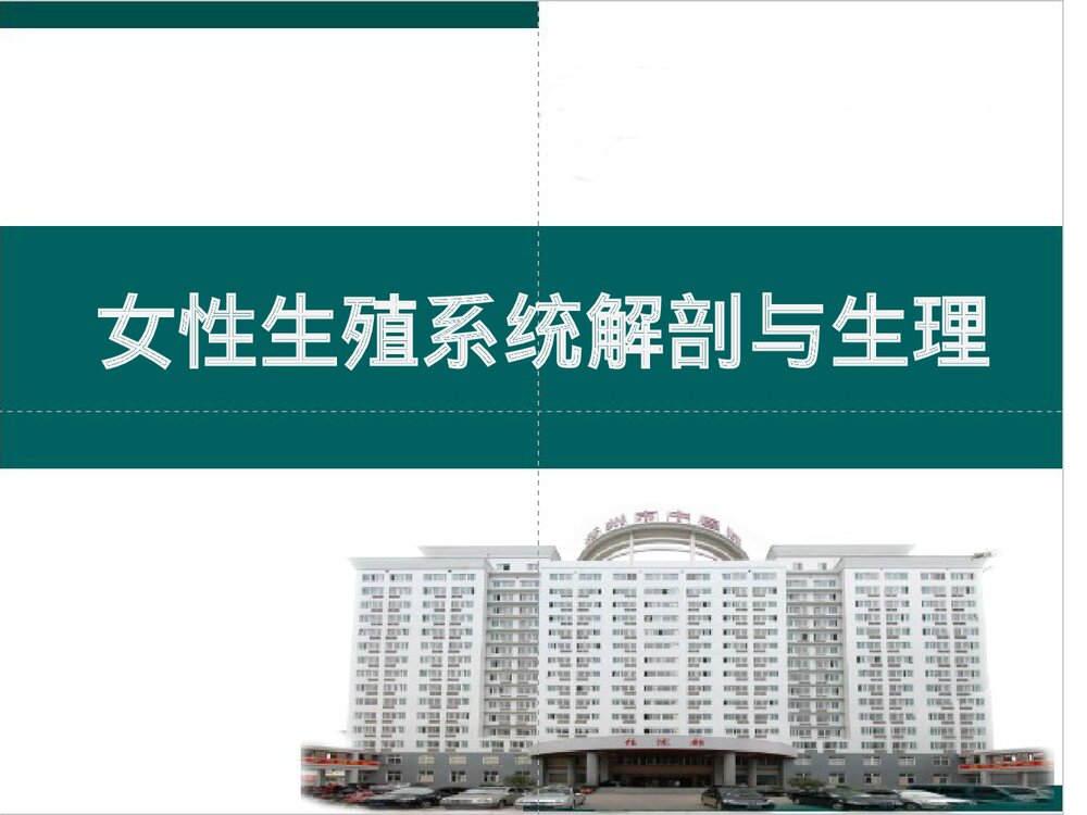 女性生殖系统解剖与生理PPT课件下载(共102页·可编辑修改)1