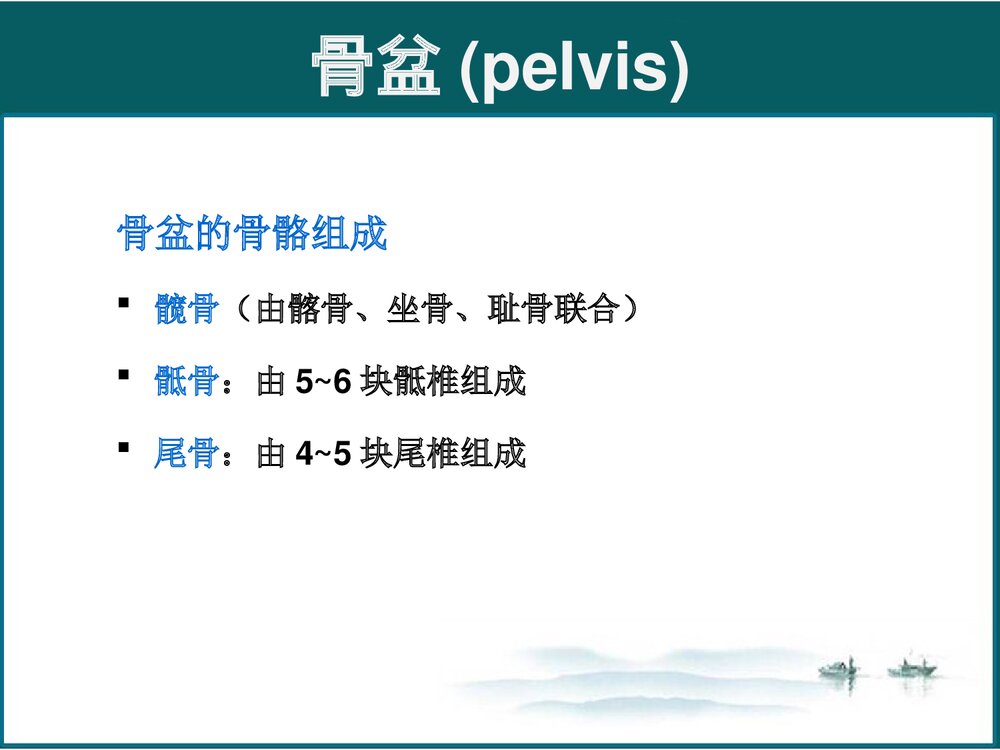 女性生殖系统解剖与生理PPT课件下载(共102页·可编辑修改)3