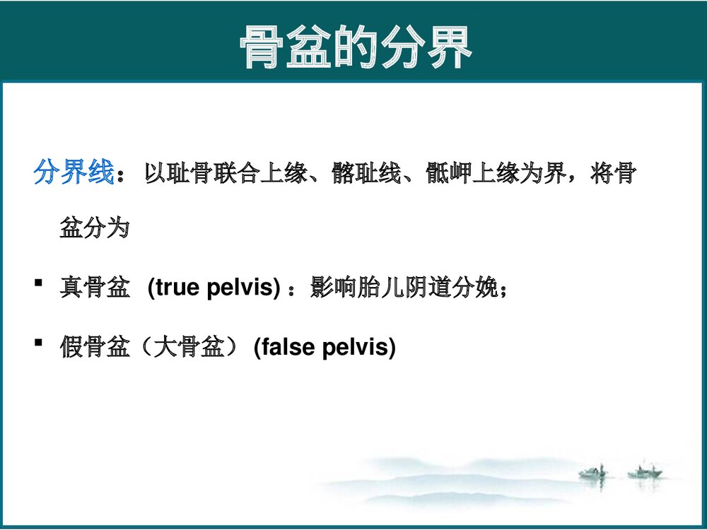 女性生殖系统解剖与生理PPT课件下载(共102页·可编辑修改)8